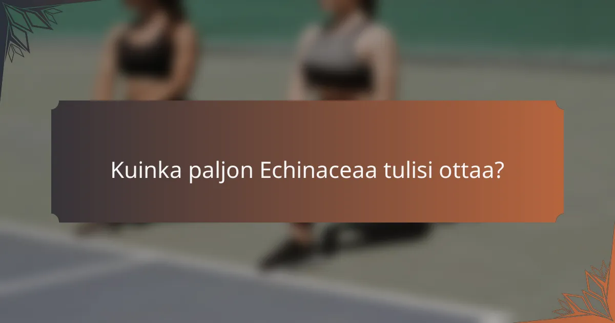 Kuinka paljon Echinaceaa tulisi ottaa?