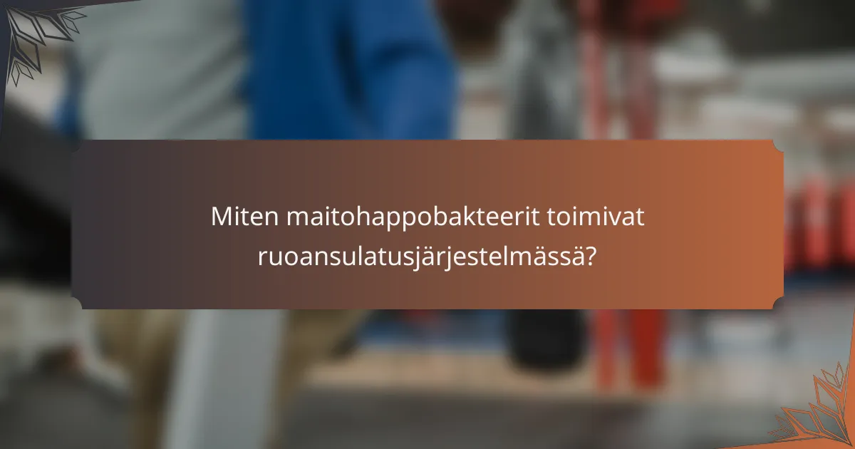 Miten maitohappobakteerit toimivat ruoansulatusjärjestelmässä?