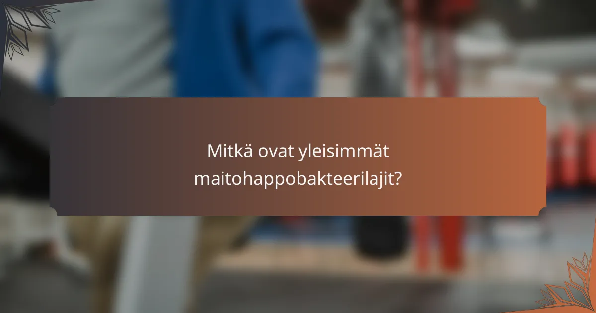 Mitkä ovat yleisimmät maitohappobakteerilajit?